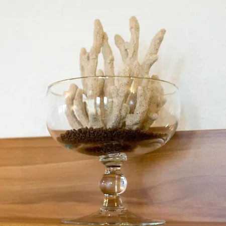 Dreimaster W2 Dornumersiel